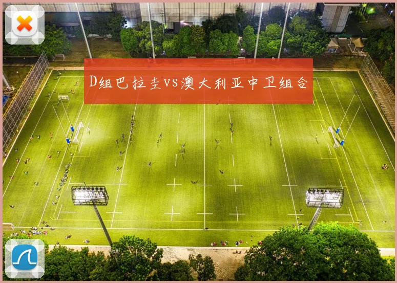 D组巴拉圭vs澳大利亚中卫组合