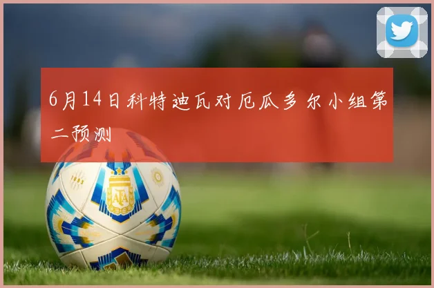 6月14日科特迪瓦对厄瓜多尔小组第二预测