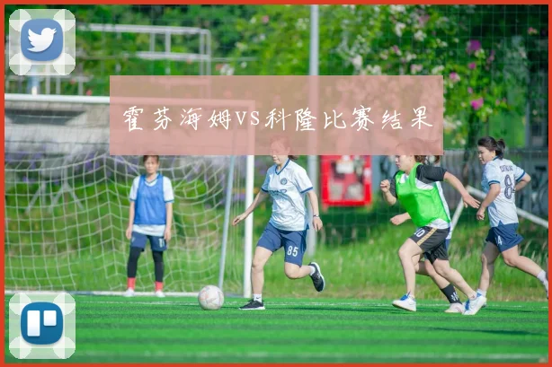 霍芬海姆vs科隆比赛结果