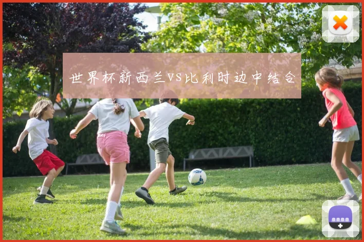世界杯新西兰vs比利时边中结合