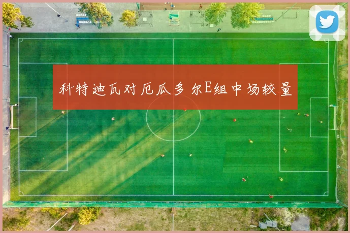 科特迪瓦对厄瓜多尔E组中场较量